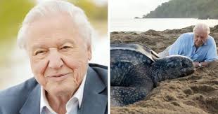 Sir david attenborough made a heartbreaking plea to humanity to change its relationship with nature after the legendary tv presenter admitted i don't have long left. Bbc Announces Its Online Geography Lessons Will Be Taught By Sir David Attenborough Bored Panda