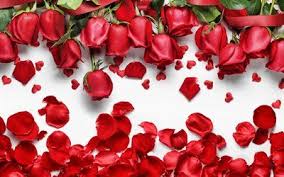 Scopri subito migliaia di annunci di privati e aziende e trova quello che cerchi su subito.it. Scarica Sfondi Rose Telaio 4k Petali Di Rose Rose Rosse Floreale Cornice Rosso Fiori 8 Marzo Besthqwallpapers Com Carta Da Parati A Fiori Illustrazioni Di Fiori Fiori Rossi