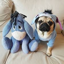 Twinning At Its Best Photo By Its Louis The Pug Want To Be Featured On Our Instagram Tag Your Photos With Thepugdiary For Baby Pugs Cute Pugs Cute Puppies