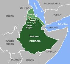 But it doesn't allow enforcing specific callback signatures. Polity The Eritrea Ethiopia Peace Deal Is Yet To Show Dividends