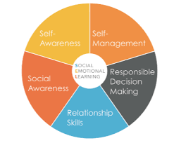 We did not find results for: Social Emotional Learning What Is Sel