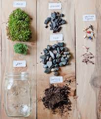 Terrarium ini merupakan wadah yang menggunakan bahan kaca atau plastik yang di dalamnya berisi tanaman hias atau lainnya yang tidak hanya berguna untuk hiasan di dalam ruanga rumah anda, namun juga berguna untuk melakukan sebuah penelitian. Diy 5 Cara Membuat Terarium Sederhana Dari Botol Toples Bekas Jual Kaktus Sukulen Makassar