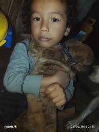 Miraflores, Loma verde, Los Arcos, Batahola norte, Monseñor Lezcano...