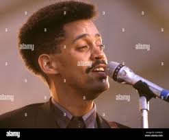 Bo brown immagini e fotografie stock ad alta risoluzione