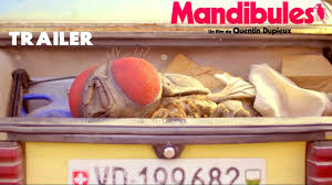 Grégoire ludig, david marsais, adèle exarchopoulos and others. Mandibules Official Teaser Trailer 2020 Comedy Fantasy Youtube
