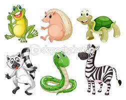 Different Species Of Animals Cartoon Clip Art Species Animals