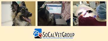 I obtained my bachelor's degree i eventually moved to san francisco and joined the staff at arguello pet hospital in 2014. Southern California Veterinary Group Home Facebook