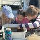 Pond Critter Exploration