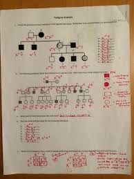 If theres one good reason to do the sniff test its this. Key Pedigree Analysis Worksheet Mrs Paulik S Website