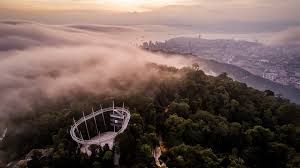 The habitat penang hill provides the most authentic, diverse and educational malaysian rainforest experience. Our Story The Habitat Penang Hill