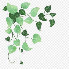 Cartoon Vines PNG Transparent Images Free Download | Vector Files | Pngtree