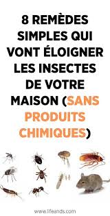 Epingle Sur Astuce Et Produits Nettoyage