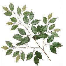 Beautiful and spectacular appearance, durable quality, easy to install, without any maintenance, this is exactly what our fake banyan trees bring to you. Silk Ficus Tree Branches Artificial Silk Ficus Tree Branches Ficus Tree Ficus Tree Branches