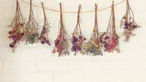 We did not find results for: How To Dry Flowers What Are The Best Flowers For Drying The Old Farmer S Almanac