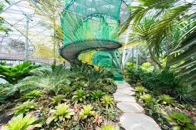 Changi is offering jewel, with the best airport in the world will soon have an indoor waterfall. Collected Rainwater Powers The World S Tallest Indoor Waterfall At Singapore S Jewel Changi Airport Colossal
