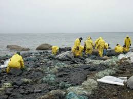 See full list on sciencelearn.org.nz Goo Be Gone Cleaning Up Oil Spills Science Project