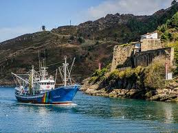 Image result for Pasaccardoa