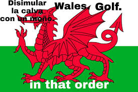 Hungary, a win that stamped their ticket to euro 2020 next. Real Madrid The Best Memes Of Bale And His Wales Teammates Flag Gareth Bale Has Dominated Much Of The News This Marca English