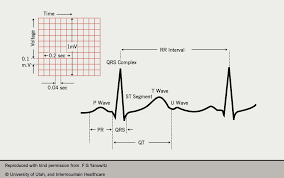 The Art Of Bluffing The British Journal Of Cardiology