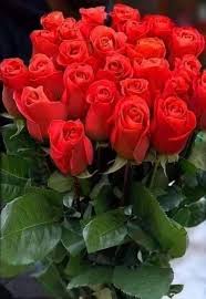 Pin By Angelica Bonet On Mensajes Cortos De Cumpleanos In 2020 Beautiful Rose Flowers Rose Flower Wallpaper Birthday Flowers Bouquet