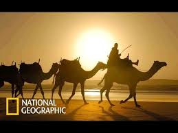 Submitted photos also joined national geographic's photography community. Wild Arabia Hidden Deep In The Desert Rains Nat Geo Wild Youtube