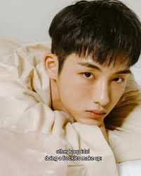 brownie boy breaking a korean beauty standards. #felix #straykids #kpopfyp