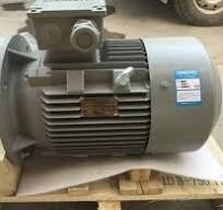 1FL6092-1AC61-2LA1 Siemens 3 Phase Motor Car