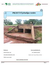 Termium has 'concrete pipe culvert' for 'buse en béton' and 'box culvert' (among a lot of other things) for 'dalot', which seems to confirm what 8jatpc. Projet D Hydraulique Routiere Cas Du Dalot Beton Arme Pont