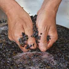 Maybe you would like to learn more about one of these? Https Www Grit Com Food Recipes Elderberry Wine Ze0z1806zcoy