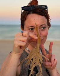 West Coast (best coast?) ☀️ 🏜️ 🌊