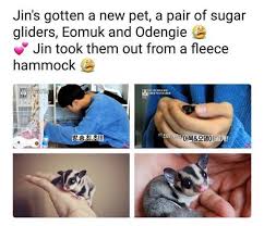 Jin His Lovely Pets Odeng Eomuk Army S Amino