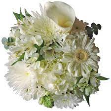 Slickdeals is the online destination for finding deep discounts on your favorite things like electronics, shoes, and video games. Mixed Farm Bunch Simply White 8 Bunches Sam S Club