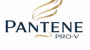 Modal dikategorikan menjadi dua jenis yaitu modal awal dan modal berjalan yang digunakan untuk mengembangkan usaha anda kedepannya nanti. Contoh Tugas Iklan Shampo Pantene Youtube