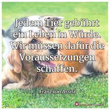 Spruche Fur Tierliebhaber Zitate Tiere Spruche Tiere Tiere
