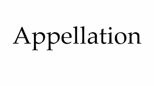 Permission to use microphone is blocked. How To Pronounce Appellation Youtube