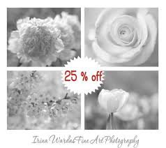 White ceramic mug, perfect for sipping your favorite hot beverage and collecting your favorite art. Bathroom Wall Art 30 Discount Modern Flower Pictures Shabby Chic Floral Wall Decor Black And White Art Nursery Baby Girl Room Bedroom Grey And White Flower Photography Set Of 4 Prints Wall