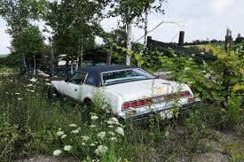 Image result for Bright Lime Starfire 1975 Thunderbird