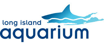Mar 29, 2020 · long island, n.y., is 118 miles long. Long Island Aquarium Aquatic Adventures Purchase Tickets