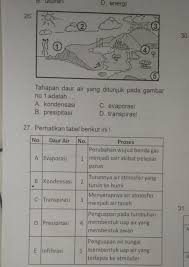 Evaporasi adalah proses penting dalam siklus air (atau hidrologi). Tahapan Daur Air Yang Ditunjukkan Pada Gambar Nomor 1 Brainly Co Id