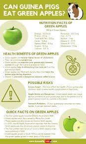 Pin On Guinea Pig Food And Diet