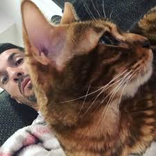 😍 You're my arm candy, comedian, partner in crime, kitty daddy, swolemate,  husband and best friend. Celebrating you today (and everyday) is EASY.  HAPPY BIRTHDAY @joelfreemanfitness 🥳💋 . . . #happybirthday #joelfreeman #