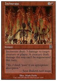 Incinerate Magic The Gathering The Gathering Painting
