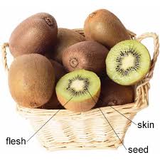 Kiwi Jpg Fruit Kiwi Kiwi Fruit