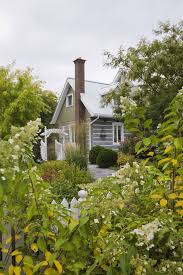 Grasses, shrubs, and elephant ears are some of the best plants plant can reach up to 12 feet tall, perfect for creating living fences or adding privacy to the landscape. 9 Privacy Landscaping Ideas Garden Screening Ideas