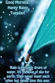 Good Morning Happy Rainy Tuesday Rain Quotes Some people walk in the rain, others just get wet. morning happy rainy tuesday rain quotes
