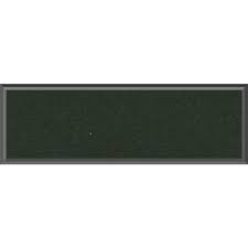 Image result for Bahama Green 1964 Nova