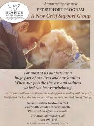 Obviously the loss of a pet is difficult for people too, and it is possible that animals may perceive their owner's sadness, in addition to their own. Dr 4 Pets House Call Veterinarian Pet Euthanasia In Thousand Oaks Ventura County And San Fernando Valley