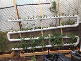 They add privacy and work just as well for a small patio or deck. 44 Best Balcony Garden Ideas To Make Your Space Beautiful Interiorsherpa