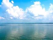 Image result for Horizon Line