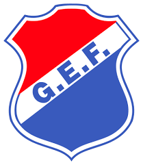 Veja o resultado, todos os detalhes da partida em porto alegre. Datei Gremio Esportivo Flamengo Logo Svg Wikipedia